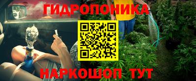 прущие грибы Пенза