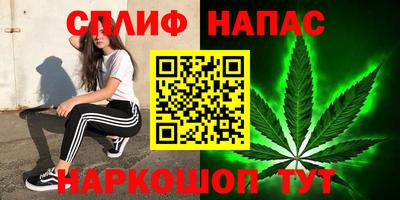 прущие грибы Пенза
