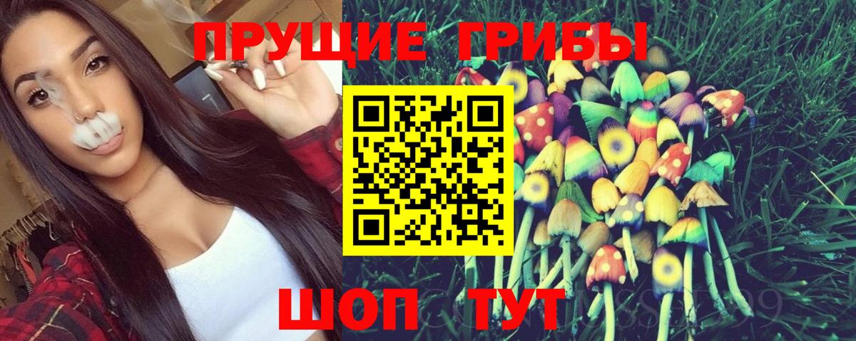 Псилоцибиновые грибы GOLDEN TEACHER Советская Гавань