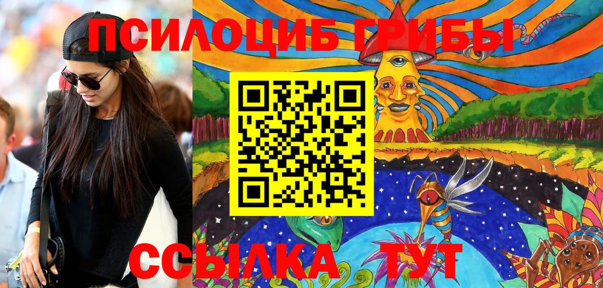 Галлюциногенные грибы Psilocybine cubensis  Вход с VPN  Советская Гавань  Псилоцибиновые грибы Psilocybe 